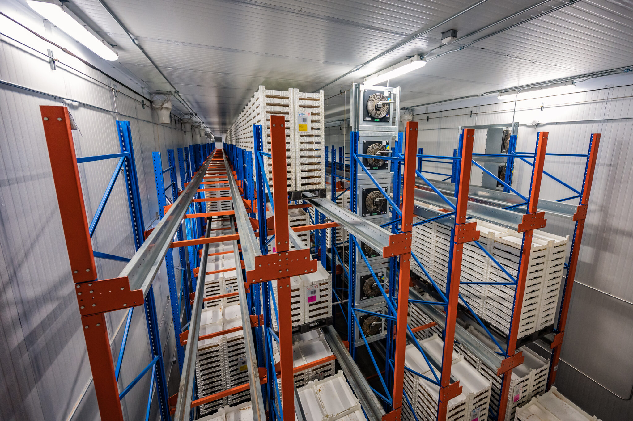 Beta Hatch Opens State-of-the-Art Facility | McKinstry